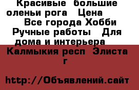 Красивые  большие оленьи рога › Цена ­ 3 000 - Все города Хобби. Ручные работы » Для дома и интерьера   . Калмыкия респ.,Элиста г.